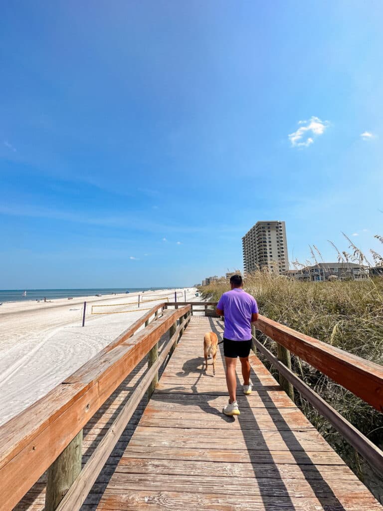 Man in purple shirt walking a golden Labrador along a Jacksonville beach boardwalk on a sunny day